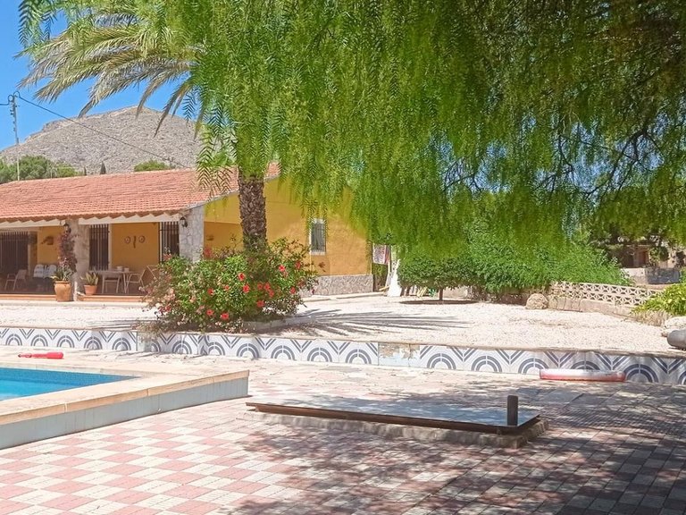Villa for Sale in Novelda, Alicante 2