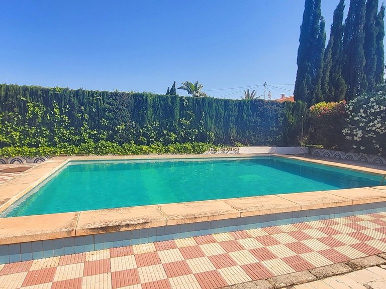 Villa for Sale in Novelda, Alicante 6
