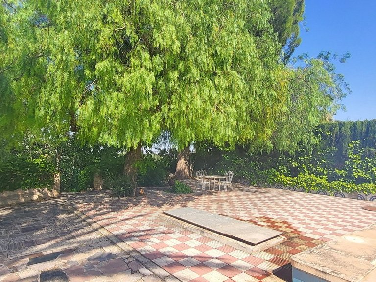 Villa for Sale in Novelda, Alicante 5