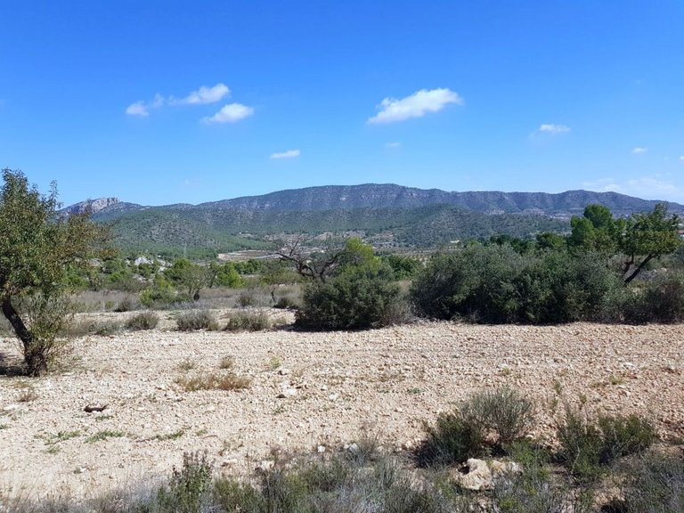 Plot for Sale in Monovar, Alicante 1