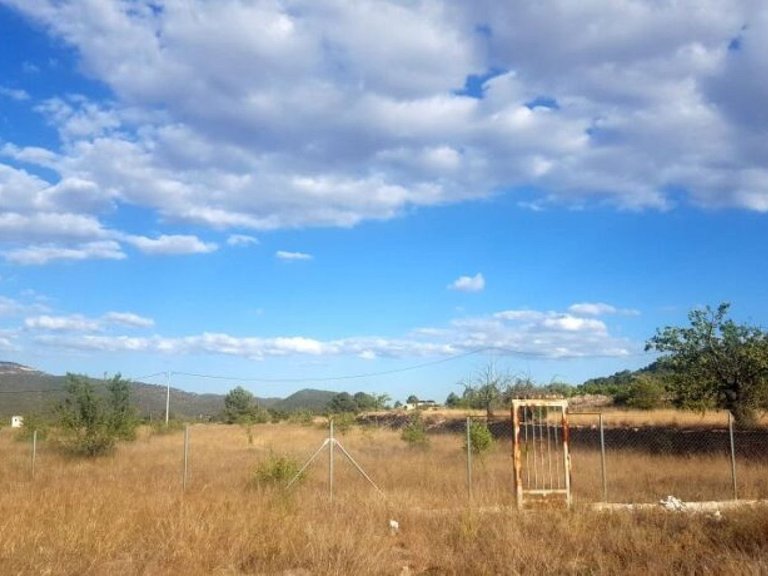 Plot for Sale in Monovar, Alicante 2