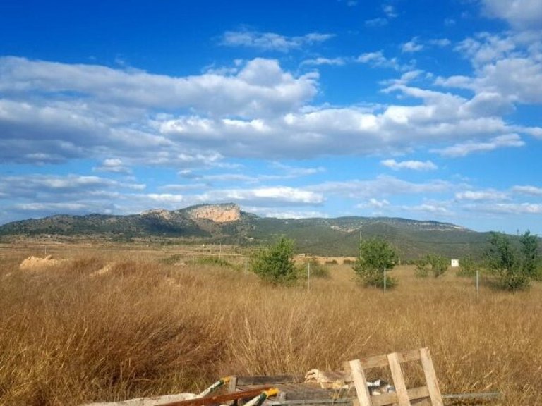 Plot for Sale in Monovar, Alicante 3