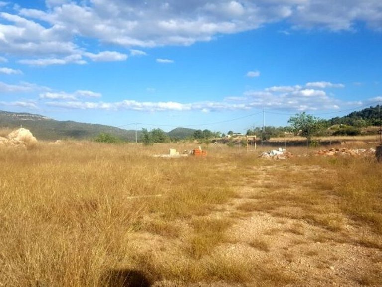 Plot for Sale in Monovar, Alicante 4