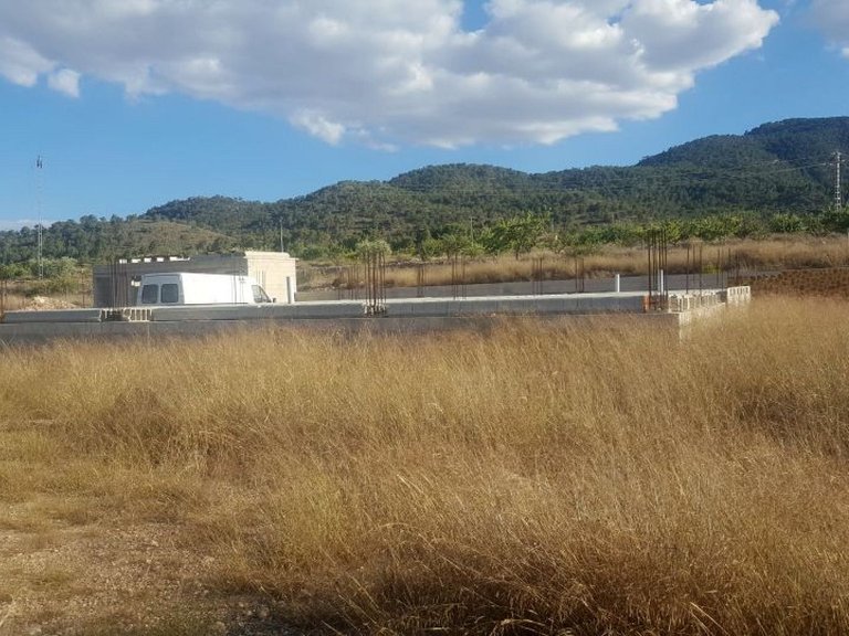 Plot for Sale in Monovar, Alicante 1