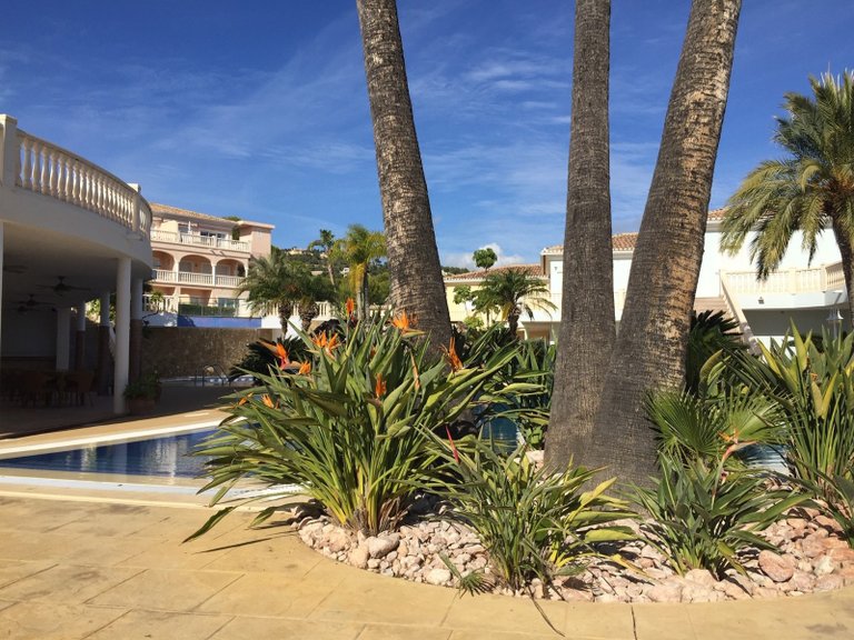 Apartment for Sale in Costa Blanca Benissa, Alicante 25