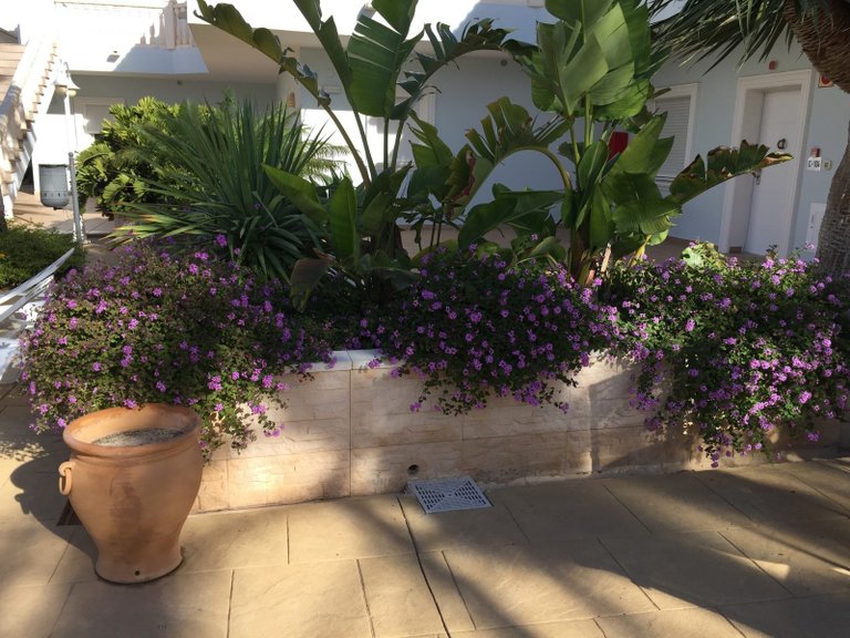 Apartment for Sale in Costa Blanca Benissa, Alicante 24