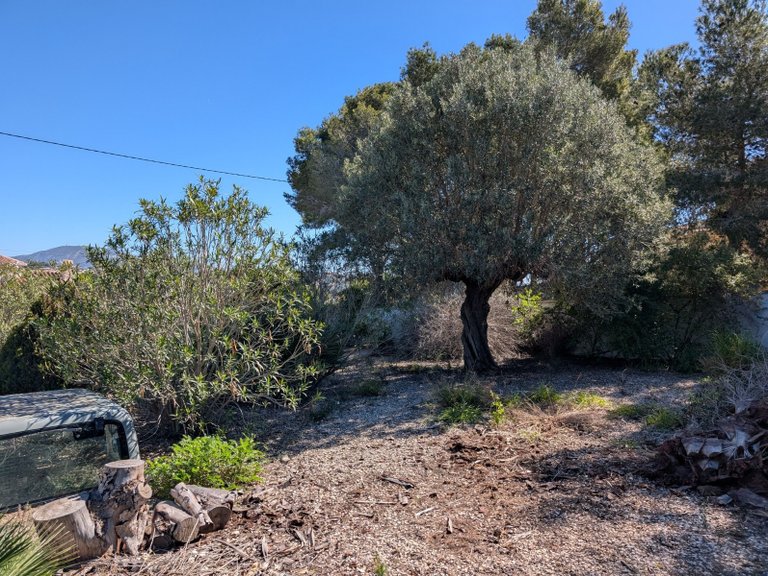 Plot for Sale in Costa Blanca Benissa, Alicante 5