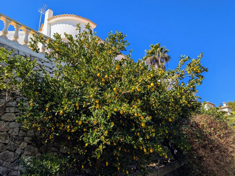 Villa for Sale in Costa Blanca Benissa, Alicante 45