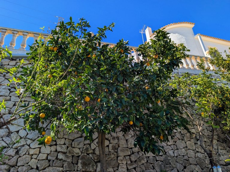 Villa for Sale in Costa Blanca Benissa, Alicante 44