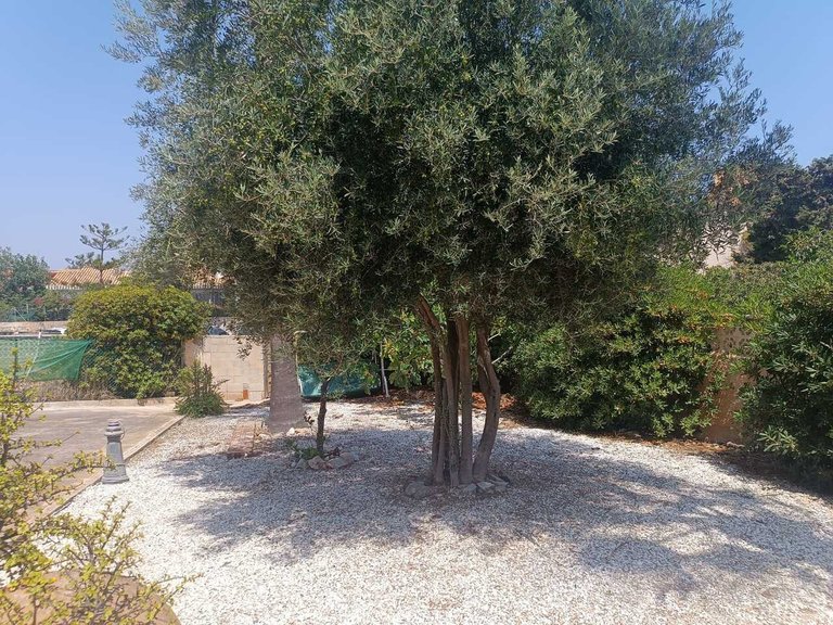 Villa for Sale in Costa Calida La Manga Del Mar Menor, Murcia 11