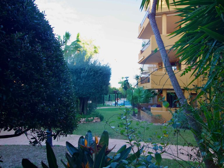 Apartment for Sale in Punta Prima, Alicante 7