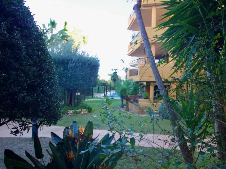 Apartment for Sale in Punta Prima, Alicante 34