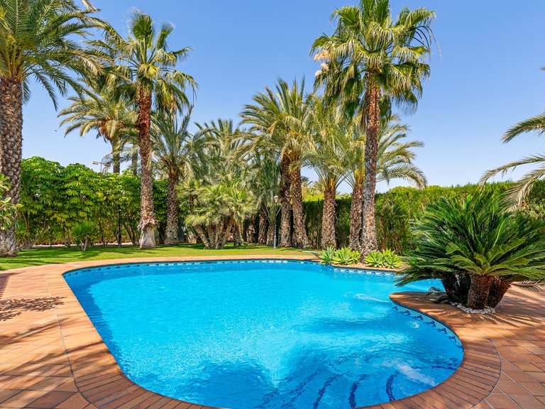 Villa for Sale in Elche/Elx, Elche, Alicante 45