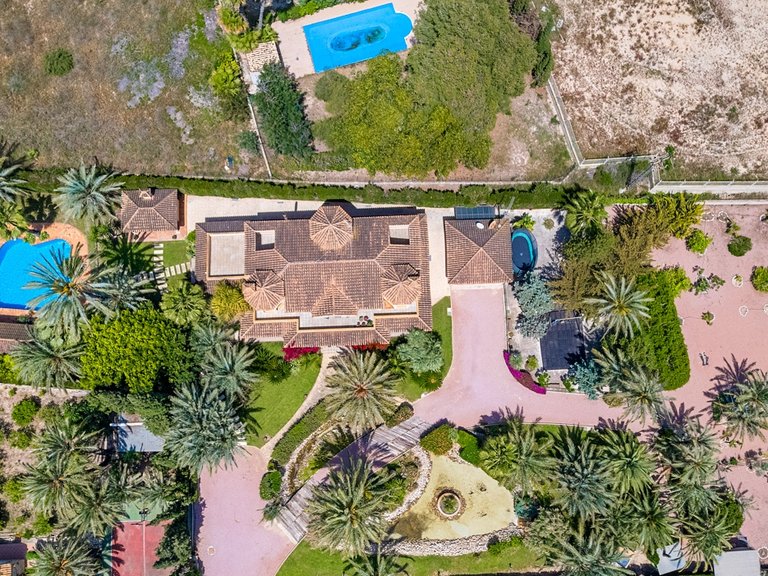 Villa for Sale in Elche/Elx, Elche, Alicante 5