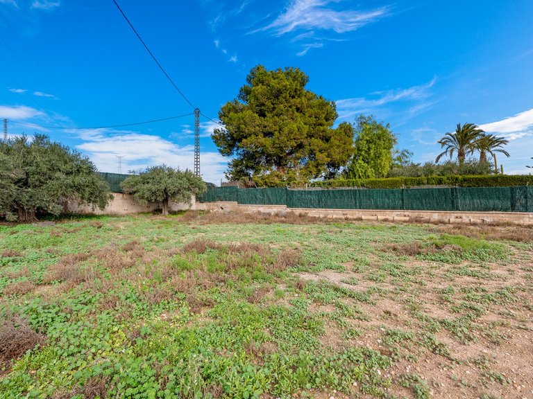 Villa for Sale in Elche/Elx, Elche, Alicante 39