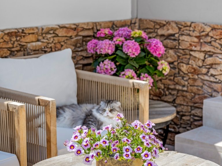 Town House for Sale in Playa San Juan, Alicante, Alicante 48