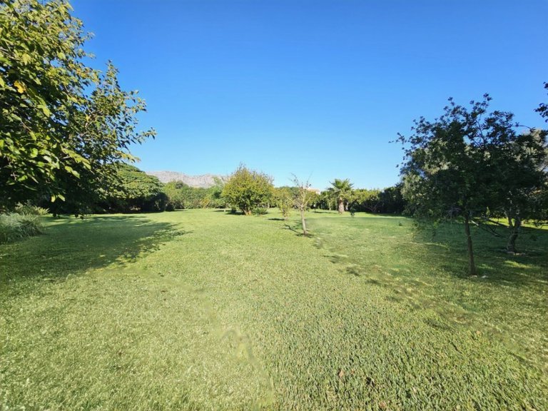 Villa for Sale in Inland Ondara, Alicante 31