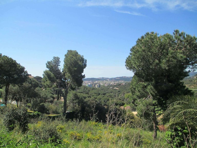 Plot for Sale in Sant Antoni De Calonge, Gerona 1