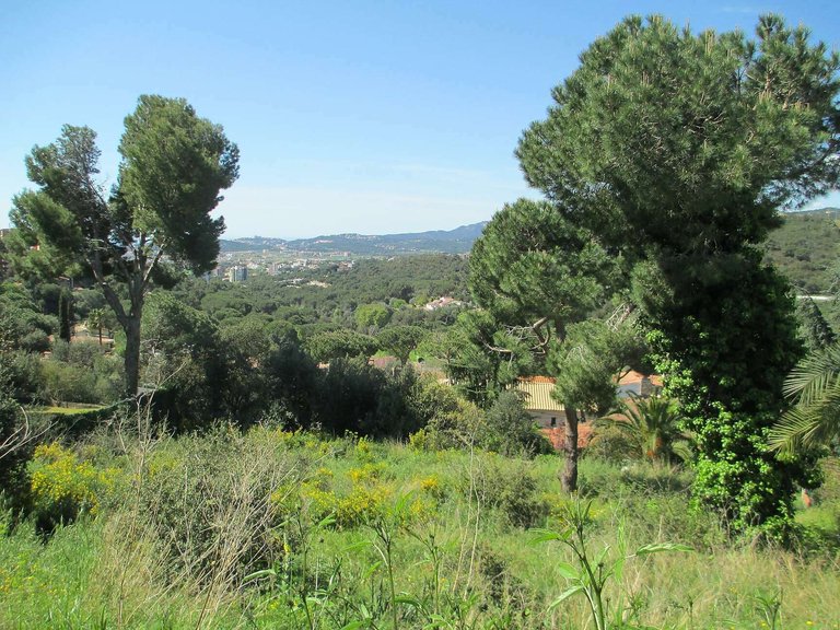 Plot for Sale in Sant Antoni De Calonge, Gerona 2