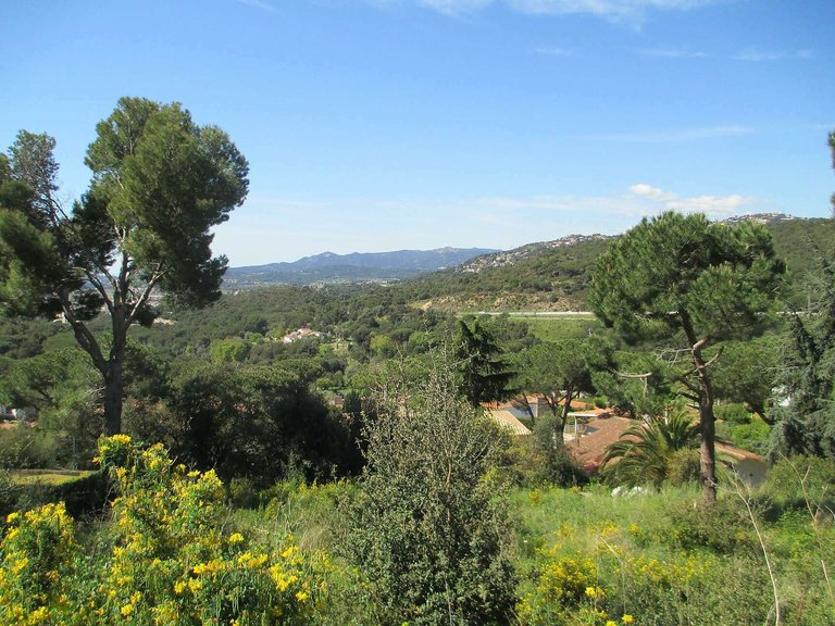 Plot for Sale in Sant Antoni De Calonge, Gerona 3