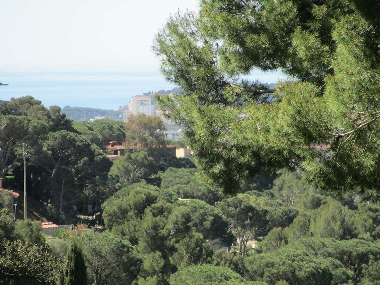 Plot for Sale in Sant Antoni De Calonge, Gerona 4