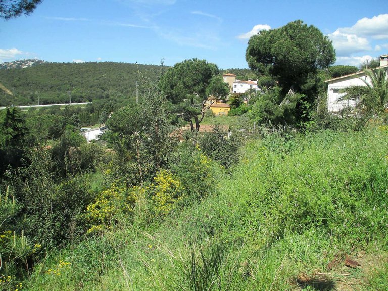 Plot for Sale in Sant Antoni De Calonge, Gerona 6