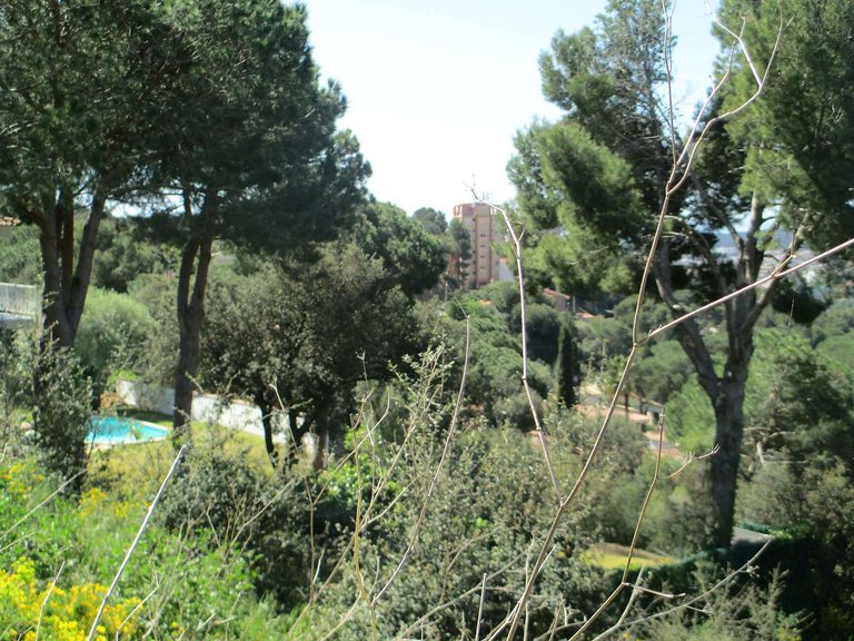 Plot for Sale in Sant Antoni De Calonge, Gerona 8