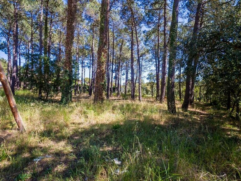 Plot for Sale in Santa Cristina D'aro, Gerona 1
