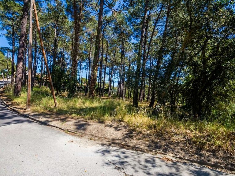 Plot for Sale in Santa Cristina D'aro, Gerona 2