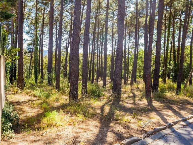 Plot for Sale in Santa Cristina D'aro, Gerona 4