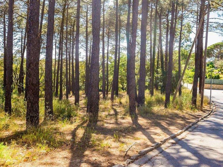 Plot for Sale in Santa Cristina D'aro, Gerona 5