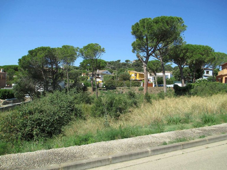 Plot for Sale in Calonge, Gerona 1