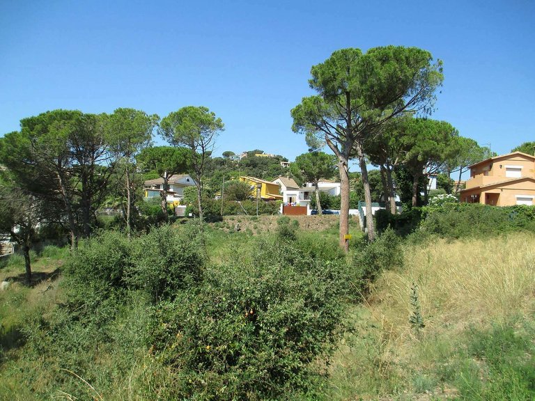 Plot for Sale in Calonge, Gerona 2