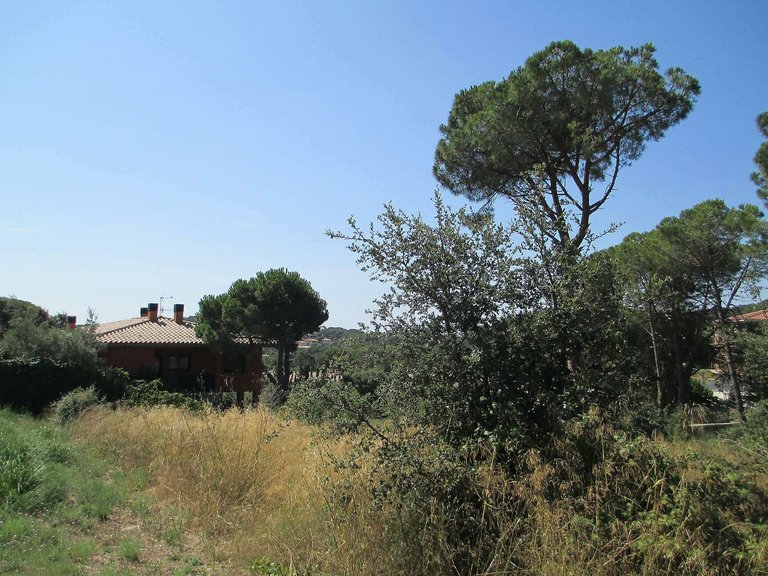 Plot for Sale in Calonge, Gerona 4