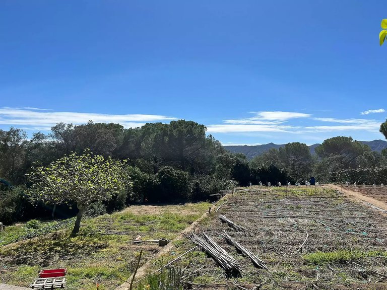 Plot for Sale in Santa Cristina D'aro, Gerona 1