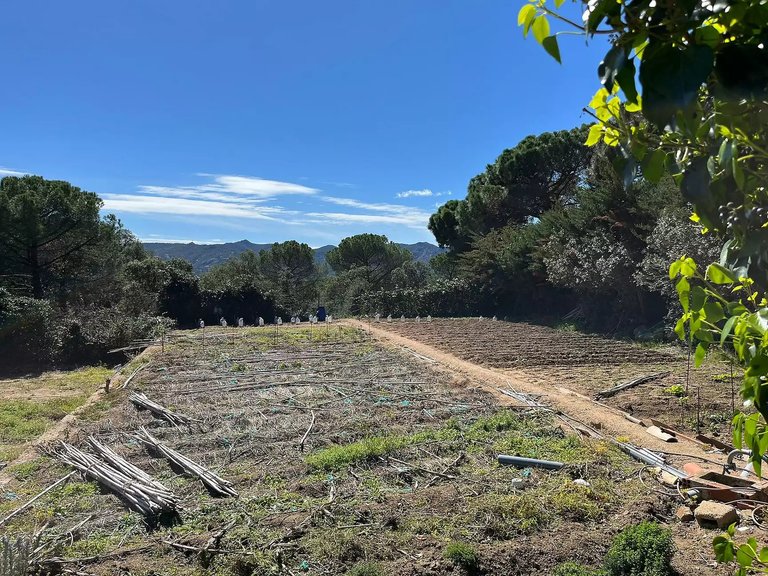 Plot for Sale in Santa Cristina D'aro, Gerona 2