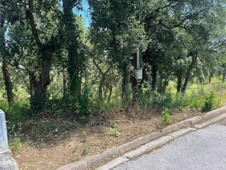 Plot for Sale in Calonge, Gerona 3
