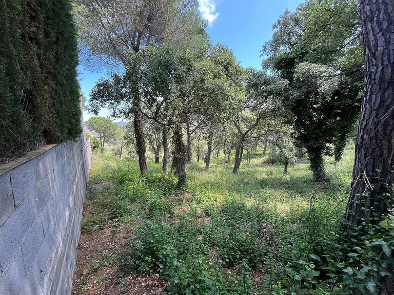 Plot for Sale in Calonge, Gerona 4