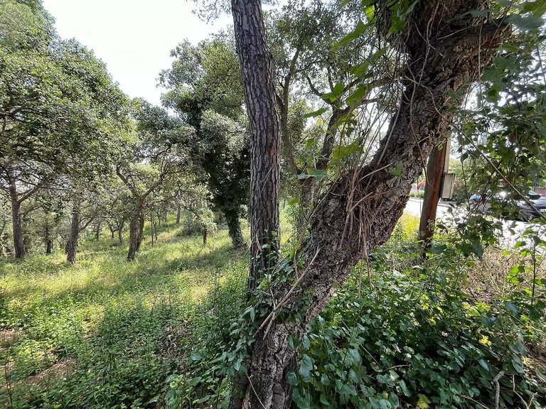 Plot for Sale in Calonge, Gerona 6