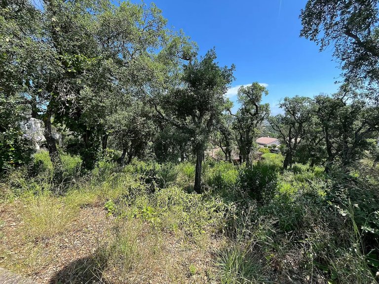Plot for Sale in Calonge, Gerona 1