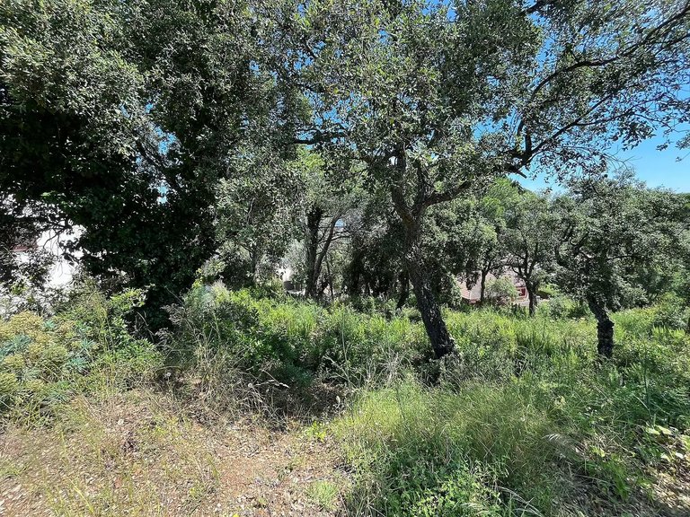 Plot for Sale in Calonge, Gerona 2