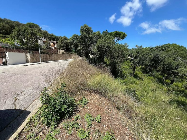 Plot for Sale in Calonge, Gerona 5