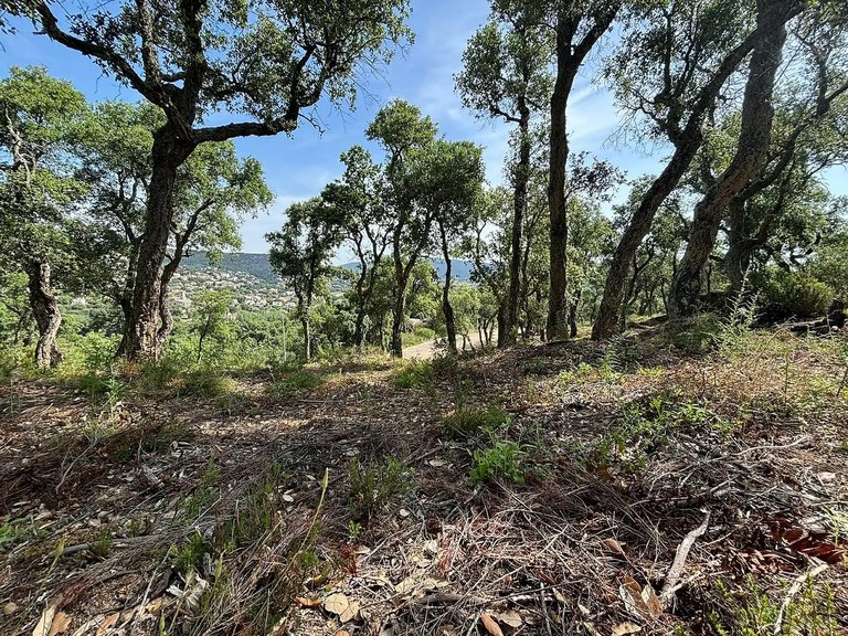 Plot for Sale in Calonge, Gerona 1