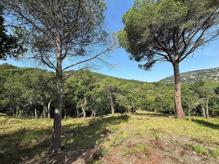 Plot for Sale in Calonge, Gerona 4