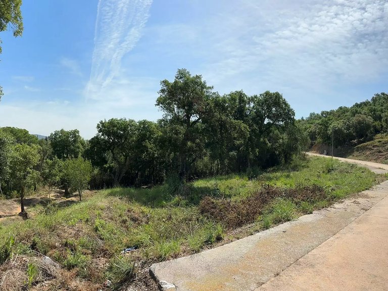 Plot for Sale in Calonge, Gerona 5
