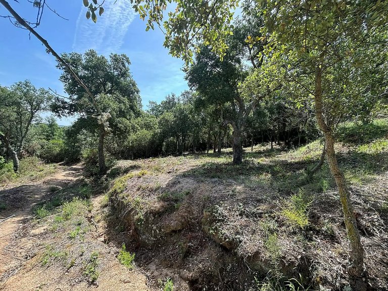 Plot for Sale in Calonge, Gerona 6