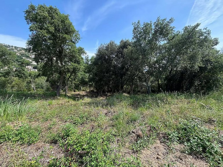 Plot for Sale in Calonge, Gerona 7