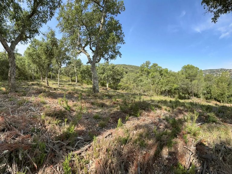 Plot for Sale in Calonge, Gerona 10