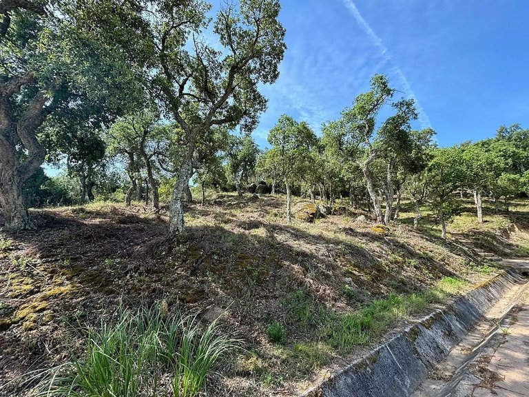 Plot for Sale in Calonge, Gerona 11