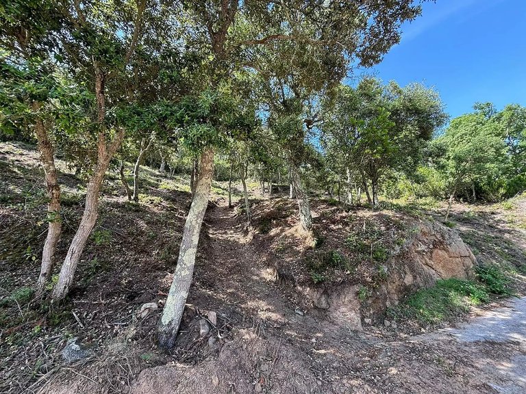 Plot for Sale in Calonge, Gerona 13